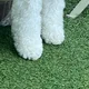 얌큐