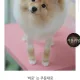 타니