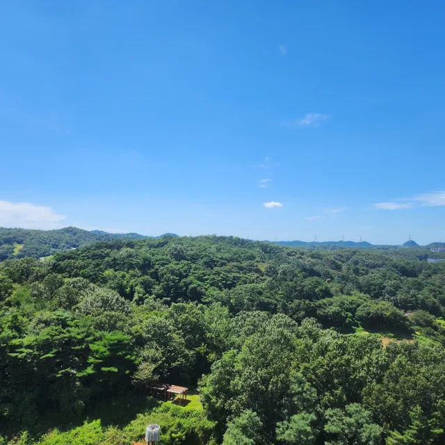 으랏차차26