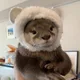 수달