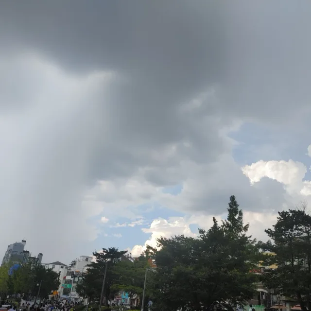 고양이는냐옹