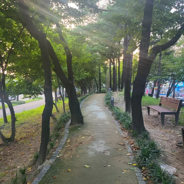석교동