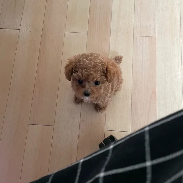 우동이아빠