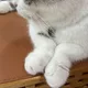 직딩