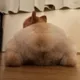 불닭맛