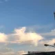 미미코코