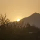 콜사