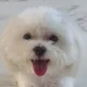 동그라미