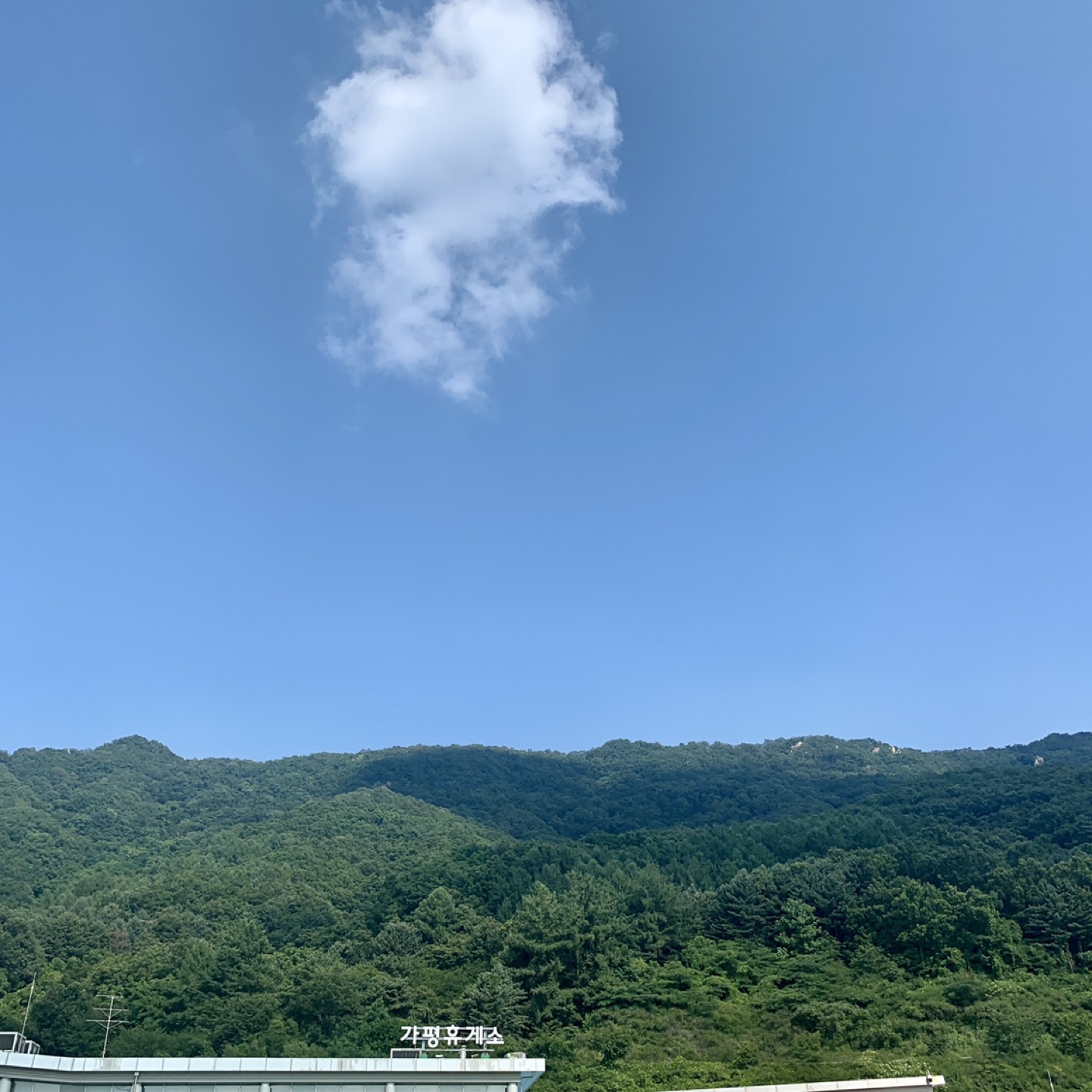 행복햄