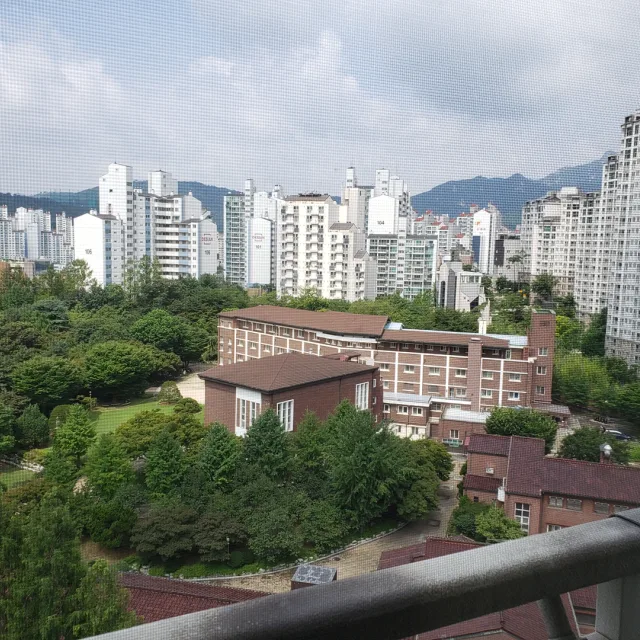 보라