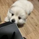 욱동이