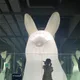아기당근