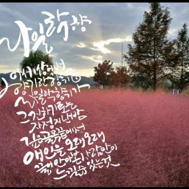 캘리