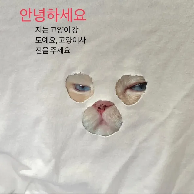 뮹뮹뮹