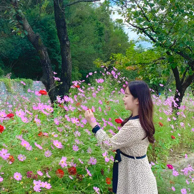 디디현
