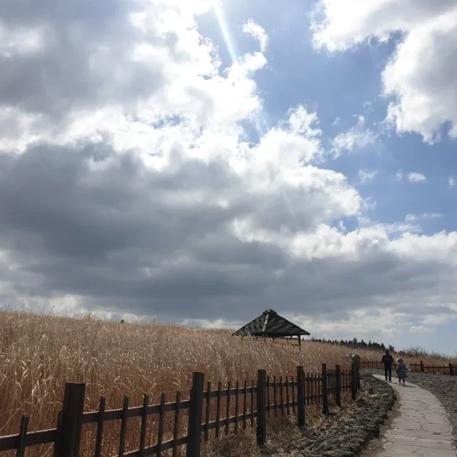 굿잡