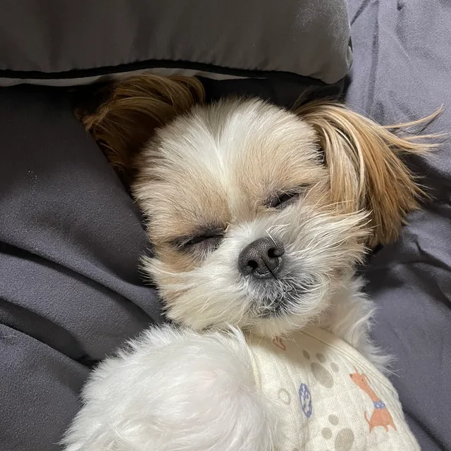 심쿵