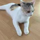 퇴근