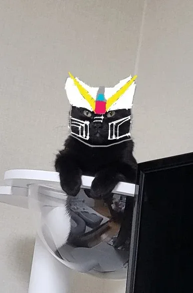 김타