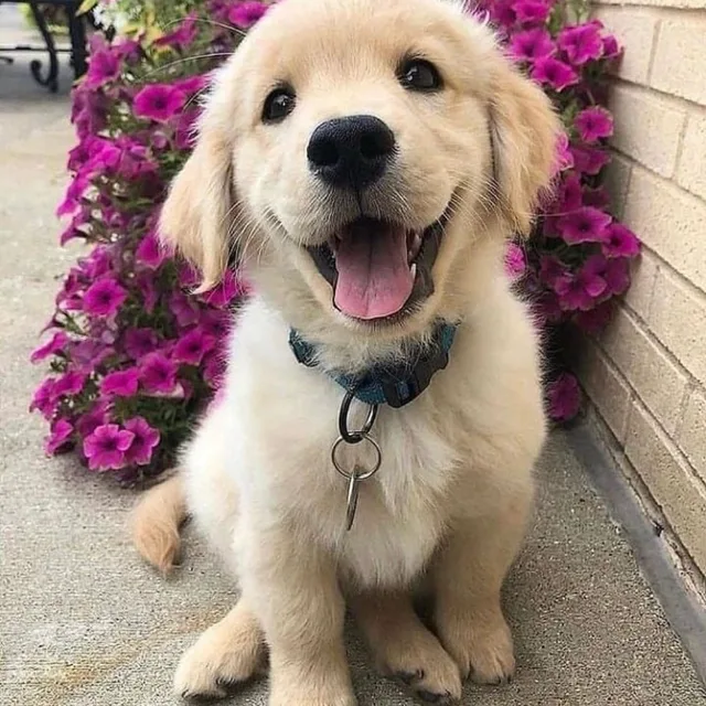 오똥