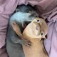 밤하늘