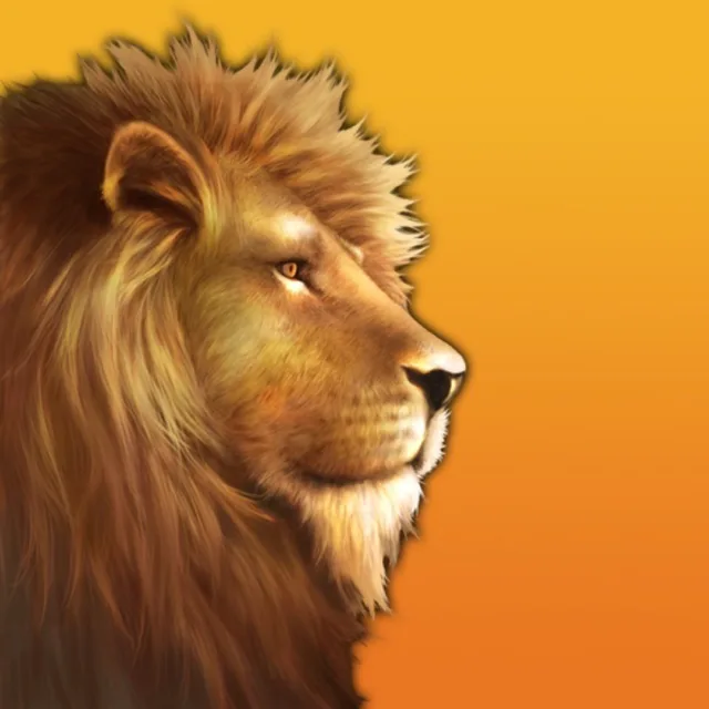 profile