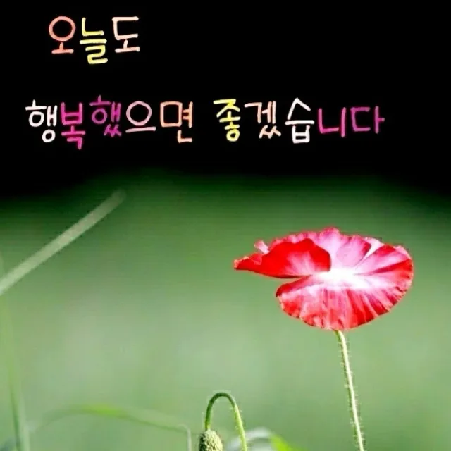 혀니답게