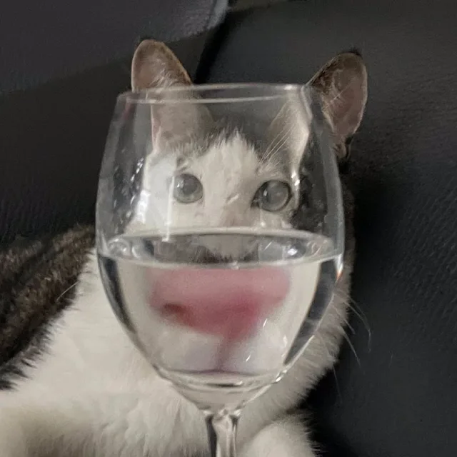 토네이도
