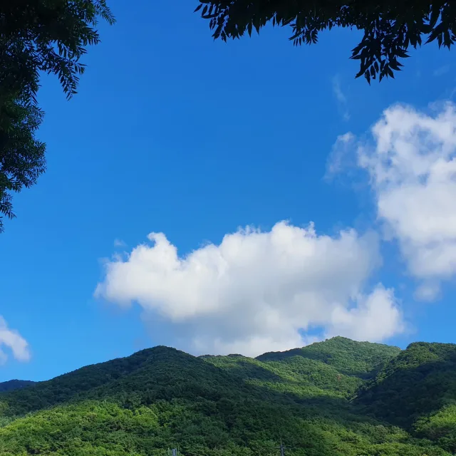 당근당