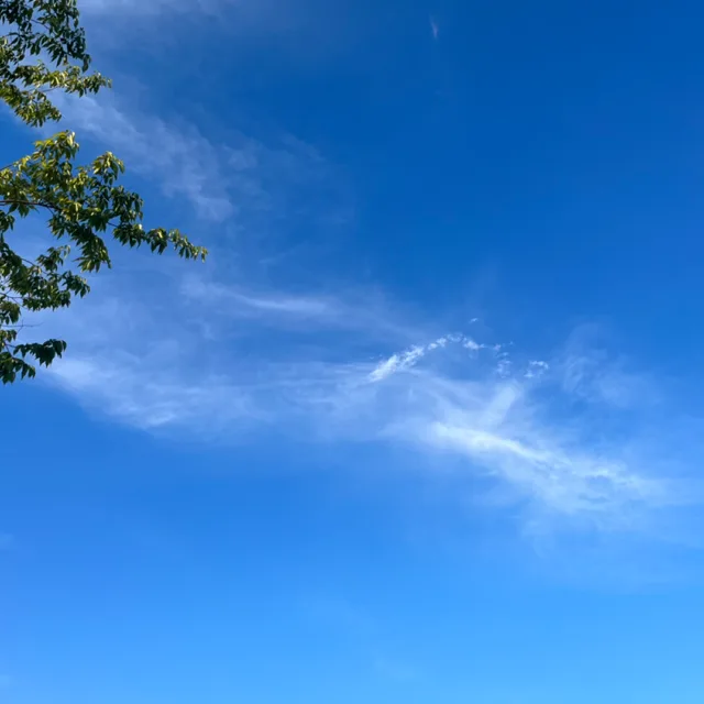 봄이오다