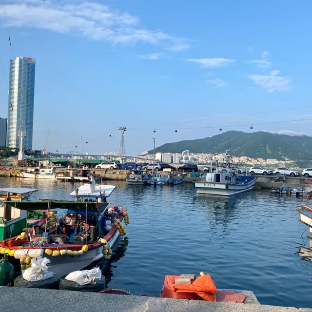 강쥐다