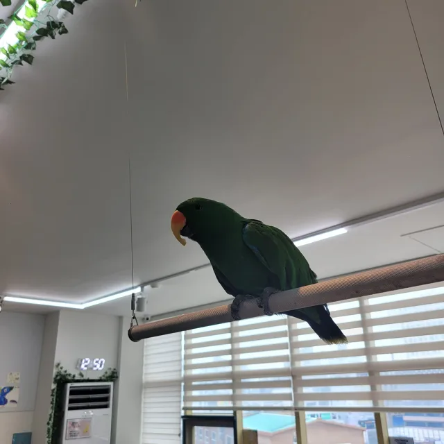 소소