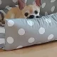 창고지기