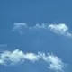 그레잇쥬디