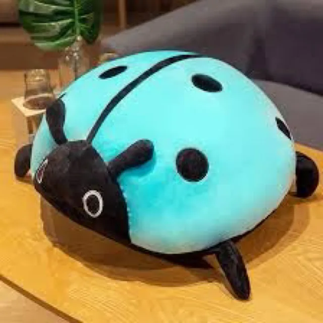 무당벌레