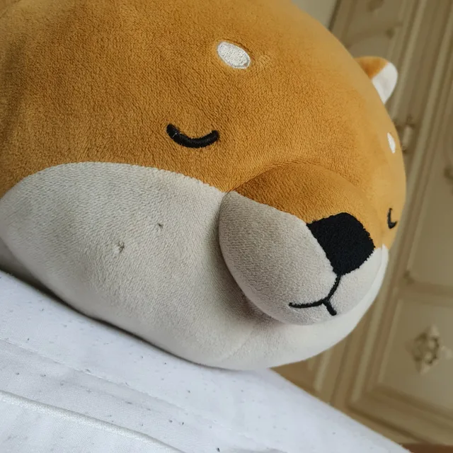 모도리