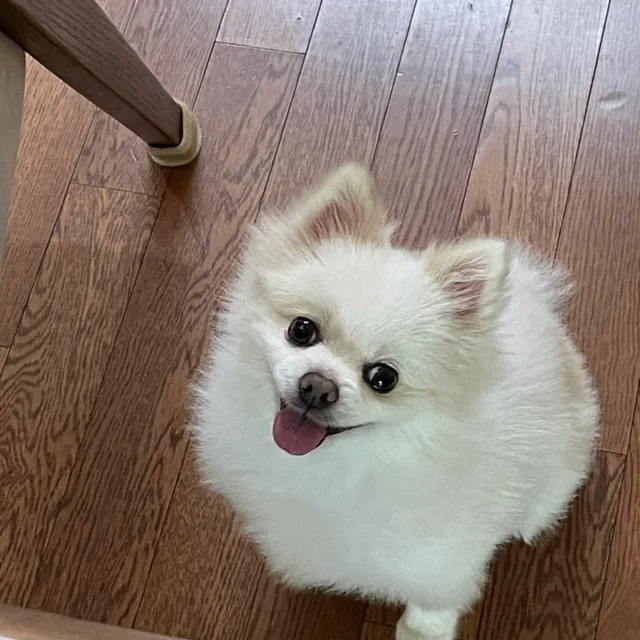 빈이엄마