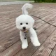김쟌