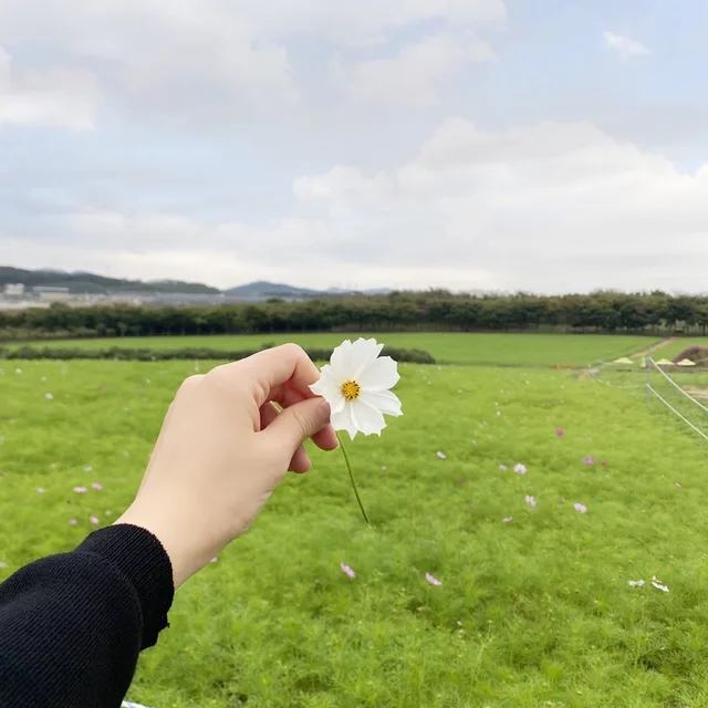 꿍이