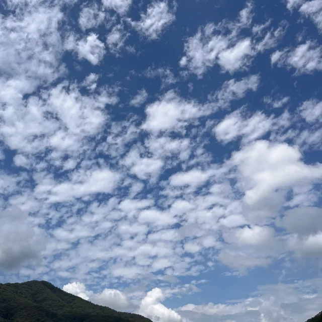 갸토