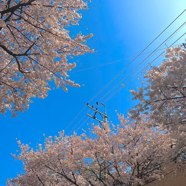 꽁주맘