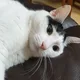 제이콥