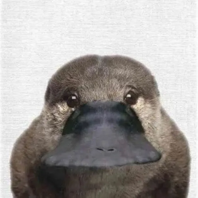 왕초보