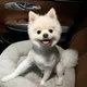 구구구