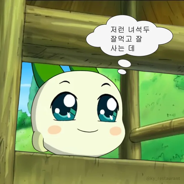 발발이