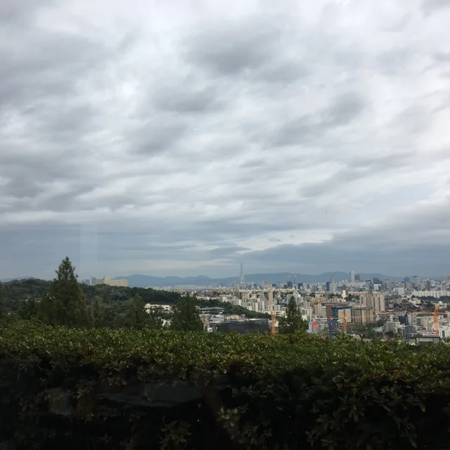 리아store
