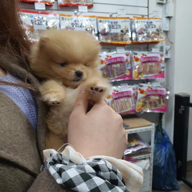 장터당근