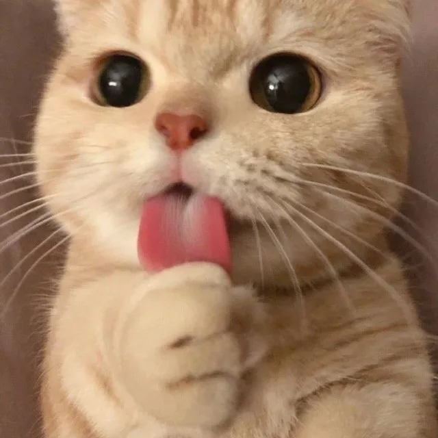 수링