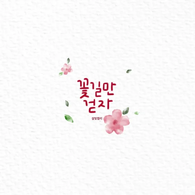 청춘이