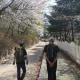 산사랑